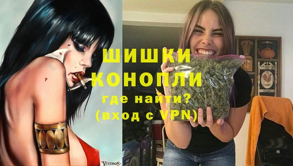 гидропоника Покачи